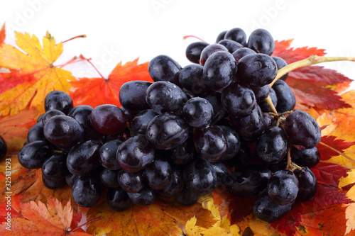 Grape on autumn leaves