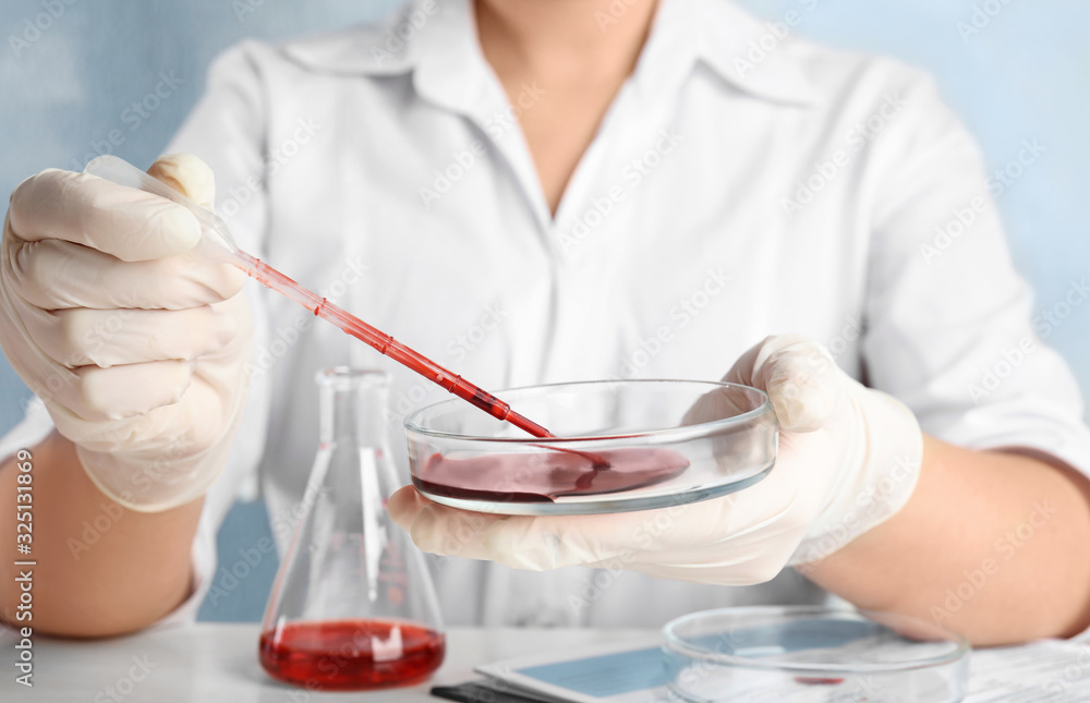Scientist taking blood sample from Petri dish with pipette in laboratory, closeup. Virus research Scientist taking blood sample from Petri dish with pipette in laboratory, closeup. Virus research