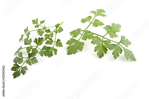 Parsley isolated on white