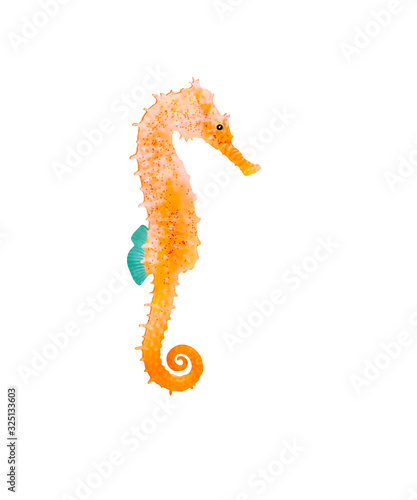 drawn seahorse in the water, illustration