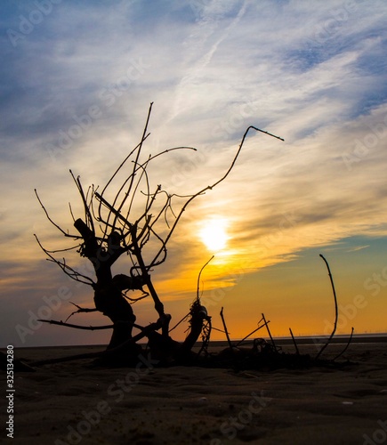 Coastal photograph sunset silhouette at the beach