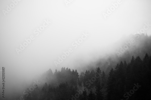 Pico Ruivo in a foggy winter day