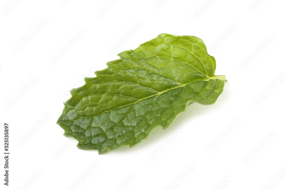 Mint leaf isolated on white Mint leaf isolated on white