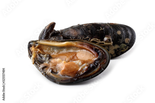 Mussel and opened mussel