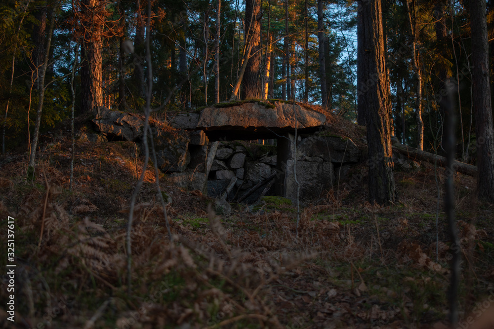 Stone structure in the forest at sunrise Stone structure in the forest at sunrise