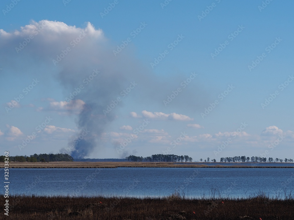 brush fire on Chesapeake Bay