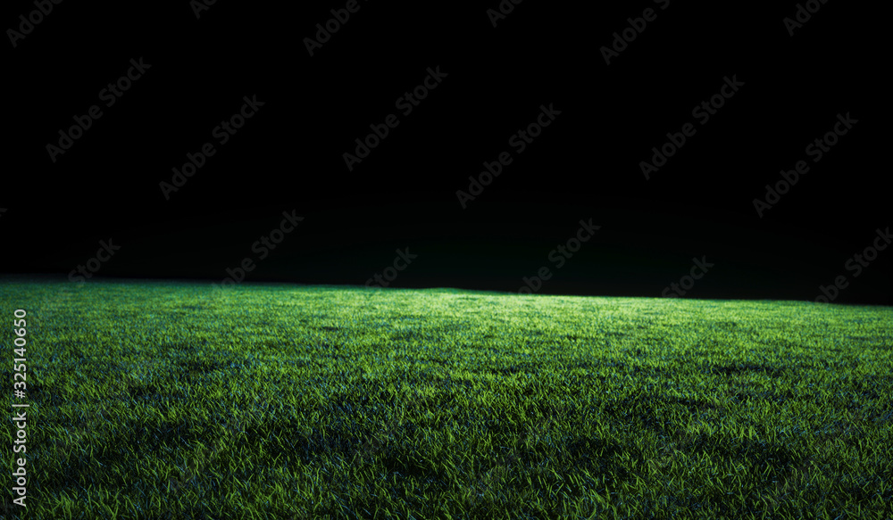 Low angle view across a lawn or sports field