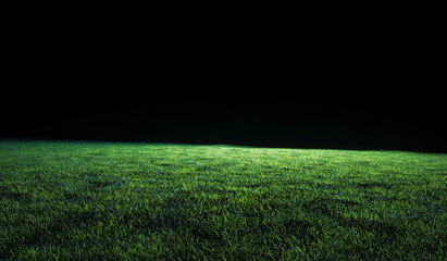 Low angle view across a lawn or sports field