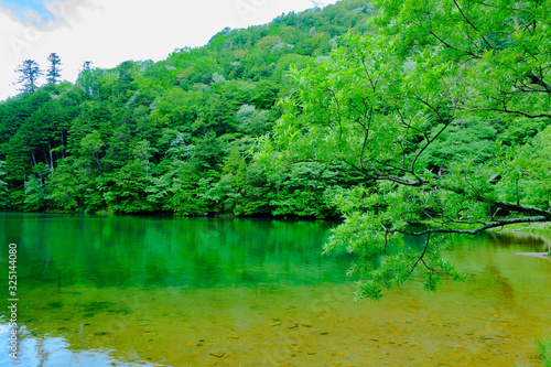 奥日光