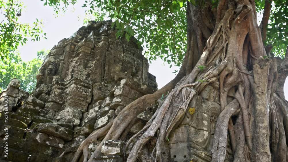 4K, Ta Som gopura, door with strangler fig. Famous spung tree growing in temple ruins. Tetrameles nudiflora. Ancient architecture of Angkor Thom Cambodia. Popular tourist attraction of Asia.-Dan 4K, Ta Som gopura, door with strangler fig. Famous spung tree growing in temple ruins. Tetrameles nudiflora. Ancient architecture of Angkor Thom Cambodia. Popular tourist attraction of Asia.-Dan