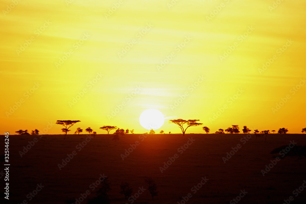 Sunrise in the serengeti with beautiful colors