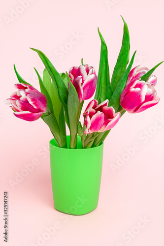 Fototapeta Naklejka Na Ścianę i Meble -  fresh garden pink tulips on a soft pink background