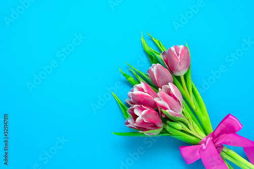 top view flat lay cute pink tulips with silk ribbon on a vibrant blue  background with copy space, spring holidays card concept