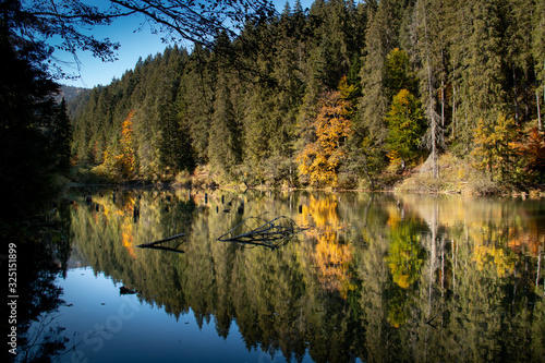 Lacul Rosu, Harghita - Romania, Europe