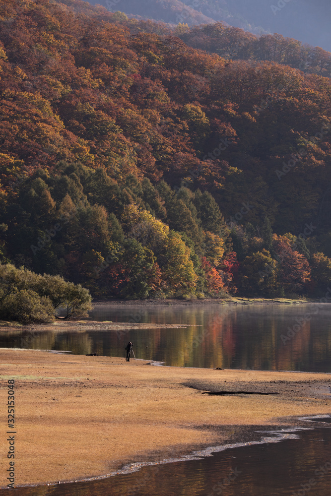 lonely photographer at the lake taking the photo of foliage lonely photographer at the lake taking the photo of foliage