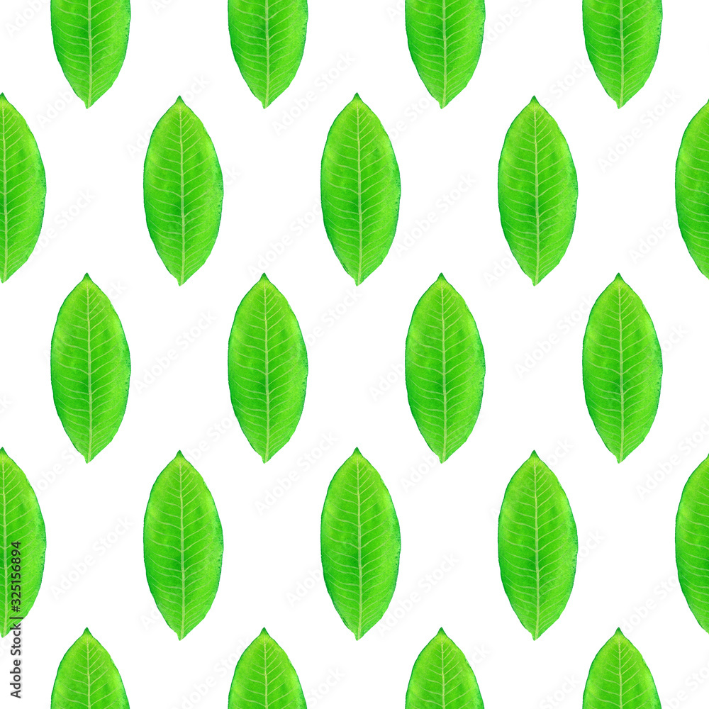 Green leaves, hand painted watercolor illustration, seamless pattern design on white background