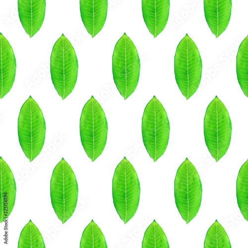 Green leaves, hand painted watercolor illustration, seamless pattern design on white background