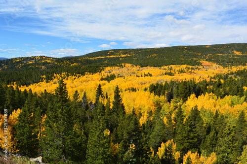 Valley of yellow aspen and green pine.