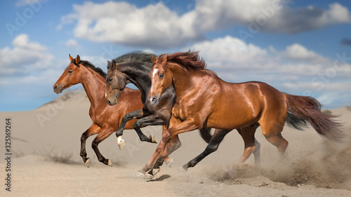 Fototapeta Naklejka Na Ścianę i Meble -  Horse herd run free on desert dust against storm sky