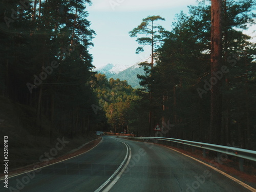 Carretera perdida en bosque