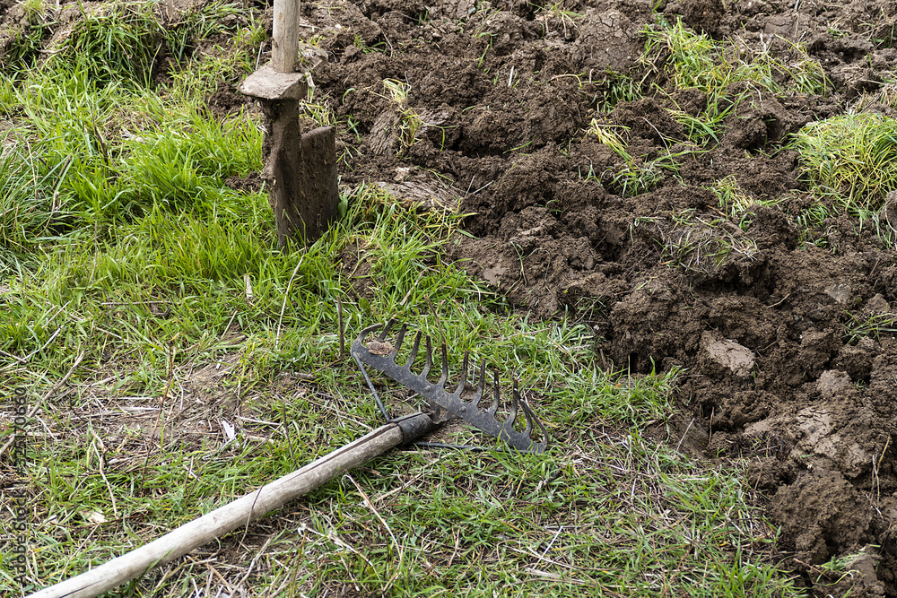 Fototapeta premium garden preparation in spring, tillage, metal garden harrow and digging shovel,