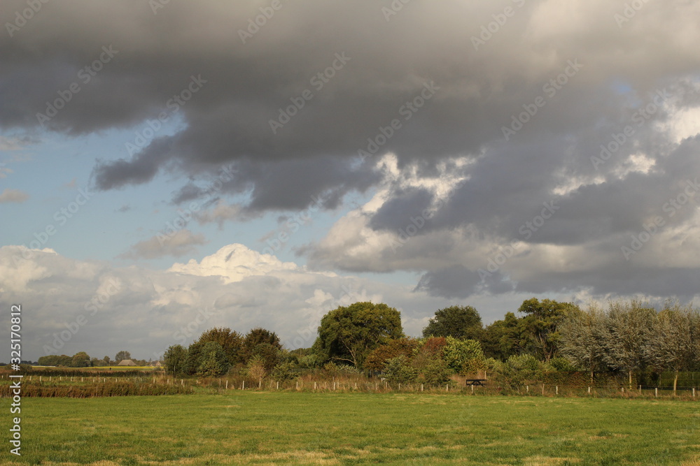 typical dutch landscape with a green meadow and  and storm clouds in the blue sky in summer