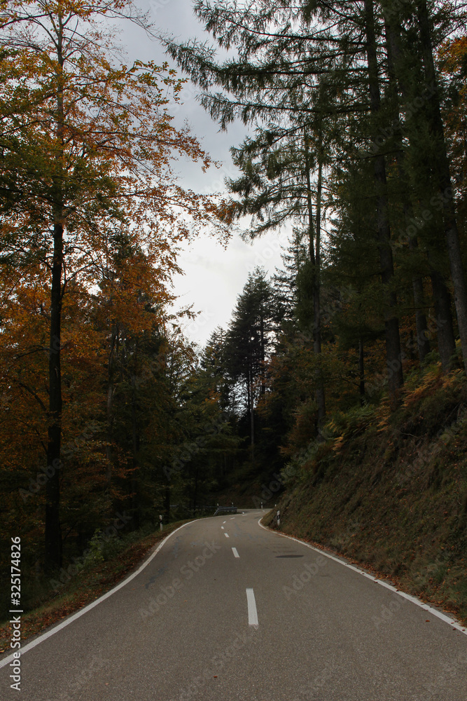 Obraz premium The road ahead