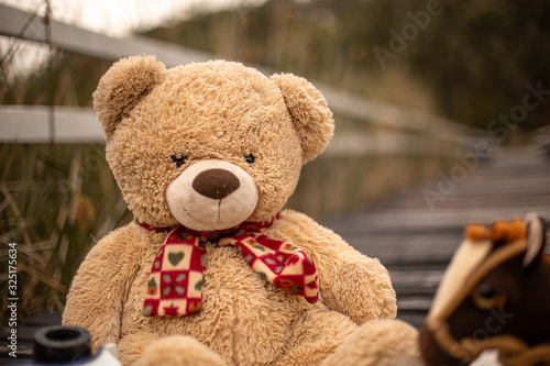 teddy bear © Richard