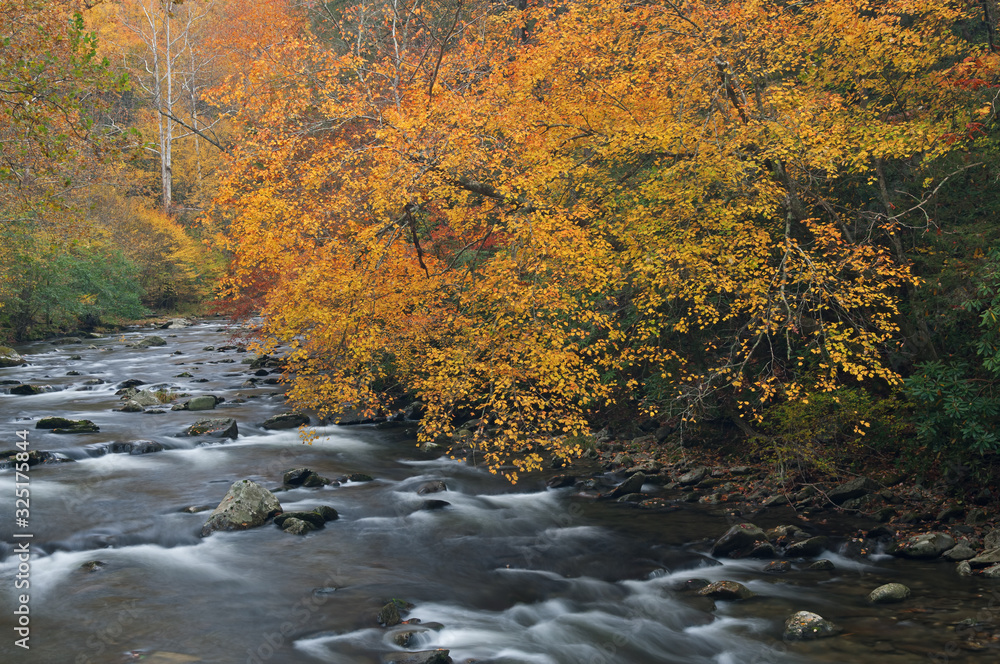 Autumn landscape of the Little River framed by foliage and captured with motion blur, Great Smoky Mountains National Park, Tennessee, USA Autumn landscape of the Little River framed by foliage and captured with motion blur, Great Smoky Mountains National Park, Tennessee, USA