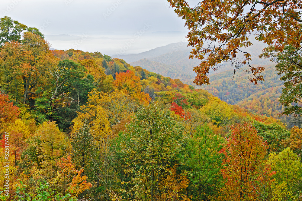 Autumn landscape Great Smoky Mountains, Deep Creek Overlook, National Park, North Carolina, USA