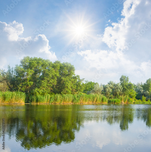 small lake with tree on a coast under a sparkle sun  summer outdoor scene