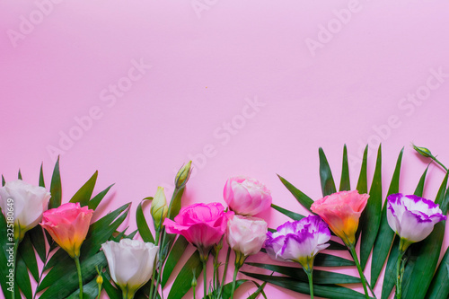 Fototapeta Naklejka Na Ścianę i Meble -  Tender white and pink eustoma flowers on pink background with palm leaves, flat lay