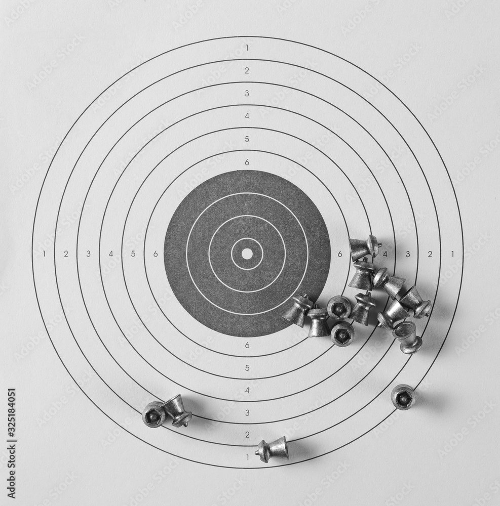 target and pellets isolated on white background, top view target and pellets isolated on white background, top view