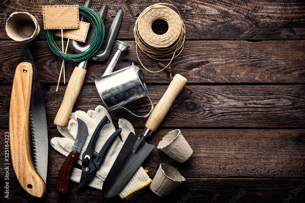 gardening tools on dark wooden background with space for text top view