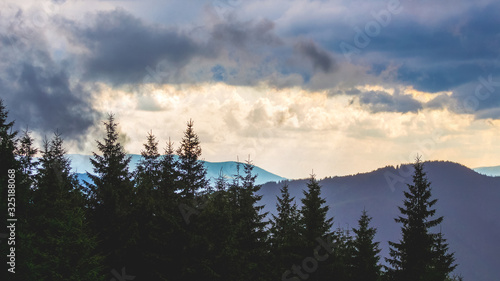 Dark spruce on a background of mountains in stormy weather_