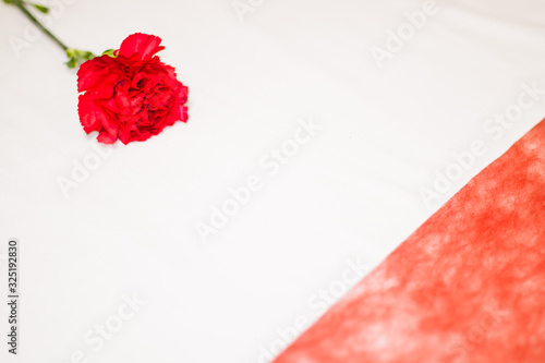 Mother's Day Single Red Flower with Tissue