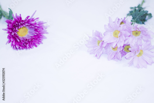 Mother's Day Two Purple Groups