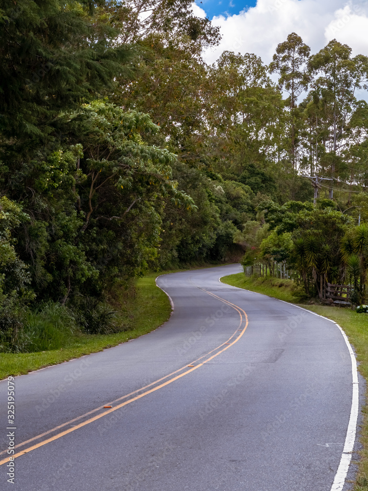 Curves of the road from Cunha to Paraty, Cunha, state of Sao Paulo, Brazil