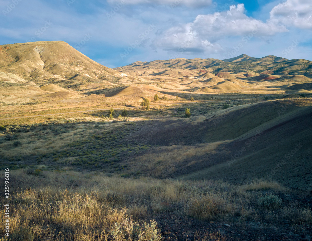 Fototapeta premium Incredible gold and red hills of clay fossil beds in a semi desert mountain valley on a sunny day of the painted cove trail at the john day fossil beds in Oregon