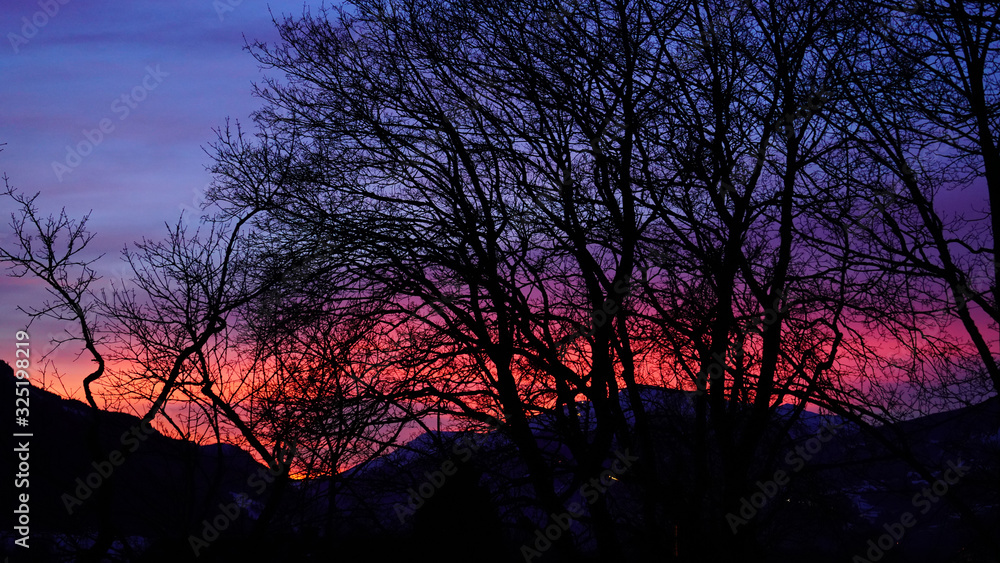 tree and mountain silhouettes in the red evening sky 