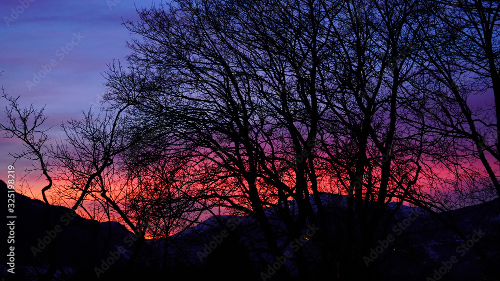 tree and mountain silhouettes in the red evening sky tree and mountain silhouettes in the red evening sky