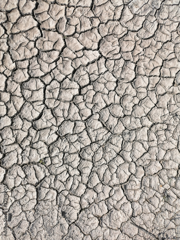 drying land and dying agriculture cause of water crises drying land and dying agriculture cause of water crises