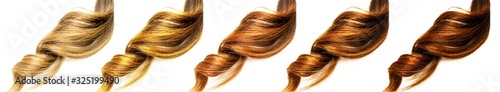 different brown colors curly piece of hair in a row on isolated white background