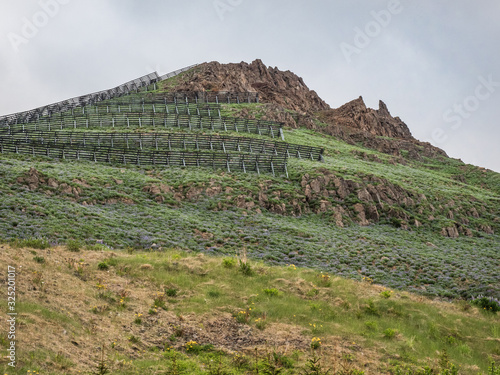 Mountaintop with fencing for an avalanche protection system barrier on a mountainside above green meadows with purple lupines in Siglufjörður (Siglufjordur) Iceland