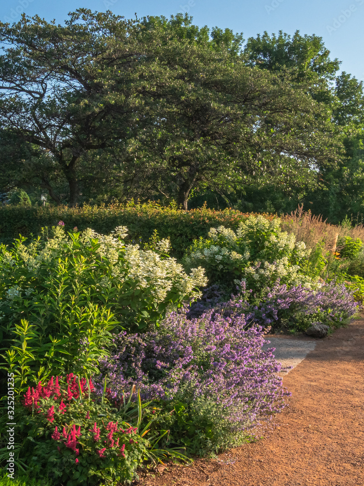Summer perennial garden with flowers and flowering bushes in bloom along a walkway with trees in the background in Minneapolis, Minnesota.