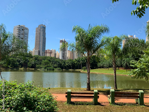 Beautiful perspective of a park and tropical trees on a sunny day in Goiania, Goias, Brazil 