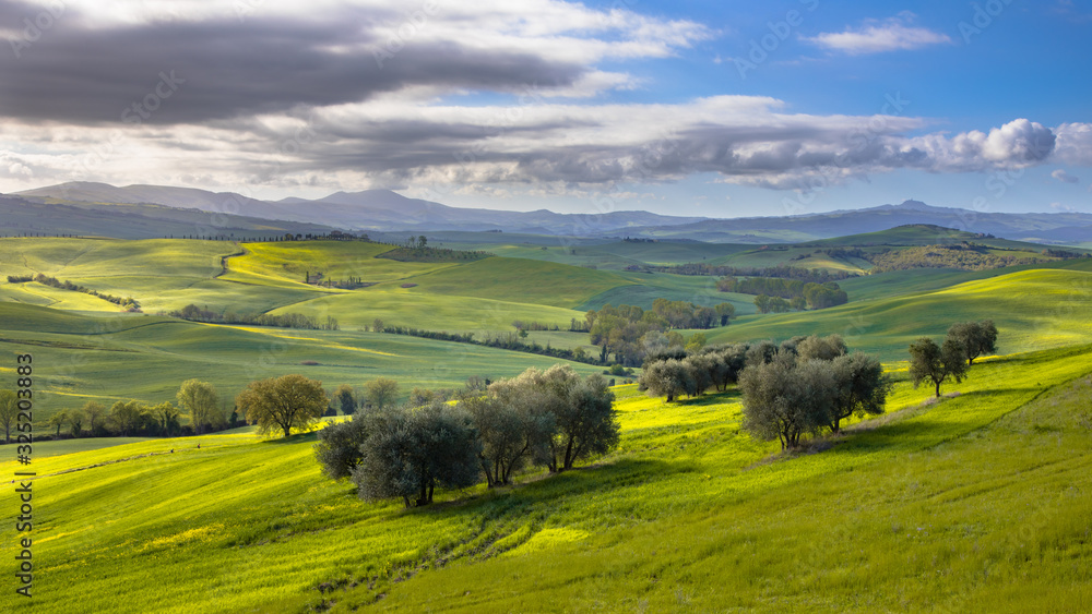 Tranquil landscape Tuscany