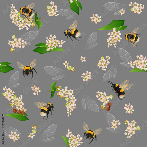 Bumblebee seamless pattern with buckwheat flowers and insect wings on gray