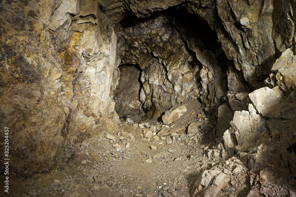 Fototapeta premium Mine Tunnel