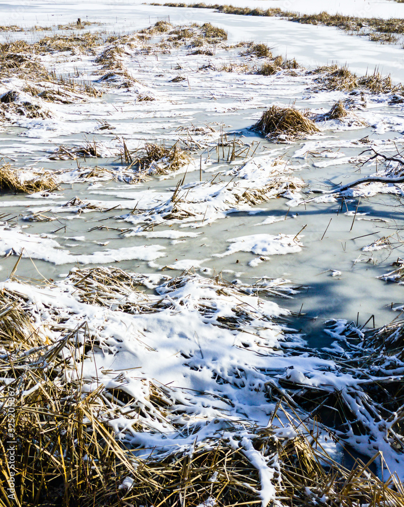 Frozen pond covered in snow drifts and dry grass. Frozen pond covered in snow drifts and dry grass.
